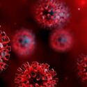 Regarding the Coronavirus