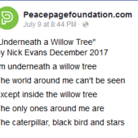 Underneath a Willow Tree Poem